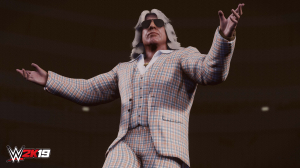 WWE 2K19 - WOOOOO! Edition Pack 0